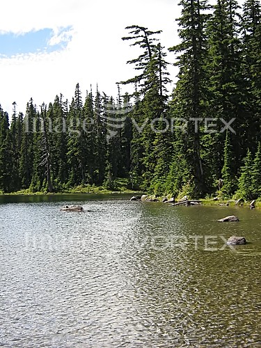 Nature / landscape royalty free stock image #204979074