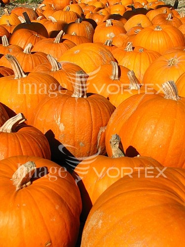 Industry / agriculture royalty free stock image #204263543