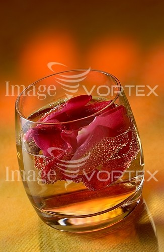Food / drink royalty free stock image #205745276