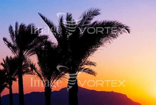 Sunset / sunrise royalty free stock image #205641288
