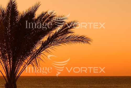 Sunset / sunrise royalty free stock image #205655436