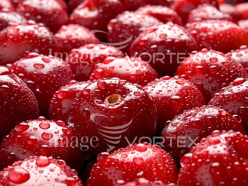 Food / drink royalty free stock image #205166679