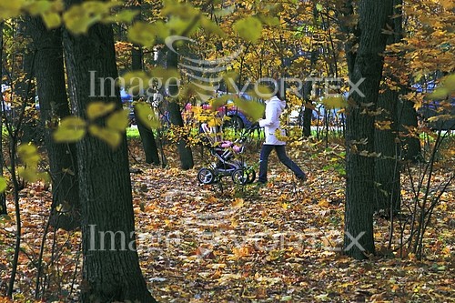 Park / outdoor royalty free stock image #206932228