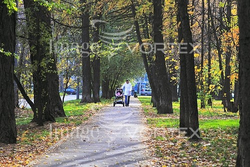 Park / outdoor royalty free stock image #206988373