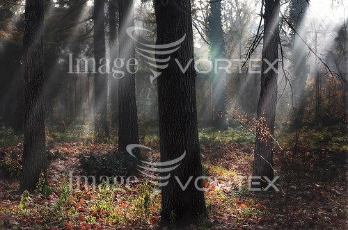 Nature / landscape royalty free stock image #206231220