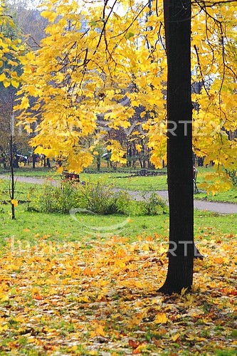 Park / outdoor royalty free stock image #207134803