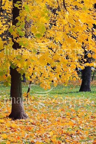Park / outdoor royalty free stock image #207214697