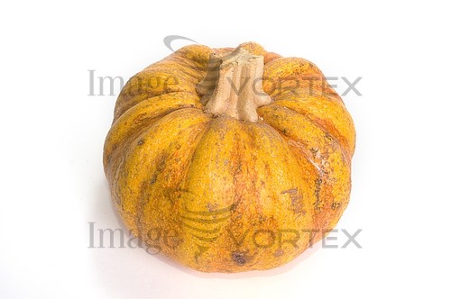 Industry / agriculture royalty free stock image #208378569