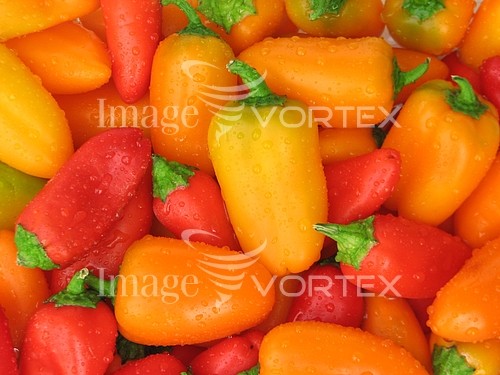 Food / drink royalty free stock image #209795906