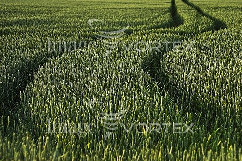 Industry / agriculture royalty free stock image #211912999