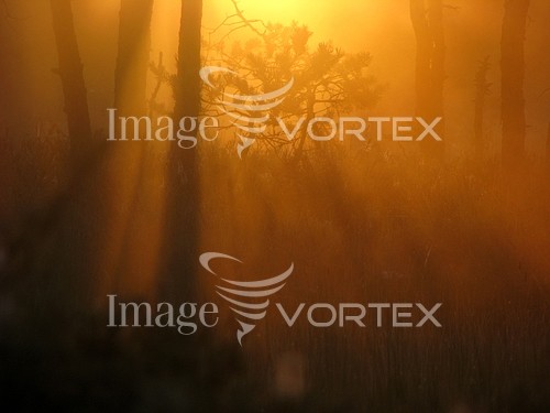 Nature / landscape royalty free stock image #213301263