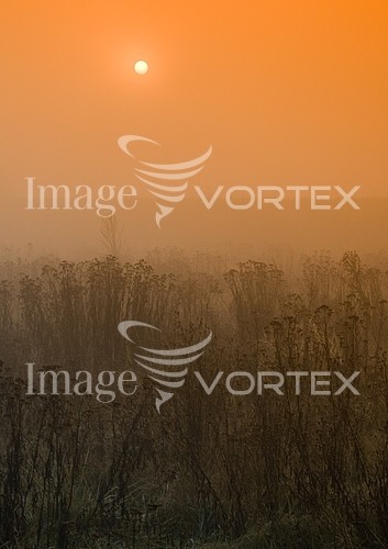 Nature / landscape royalty free stock image #215220331