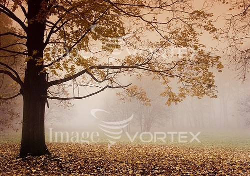 Nature / landscape royalty free stock image #215517569