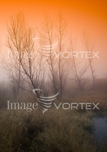 Nature / landscape royalty free stock image #215200011