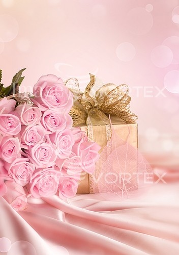 Flower royalty free stock image #216958236