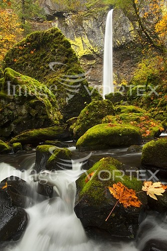 Nature / landscape royalty free stock image #217985976
