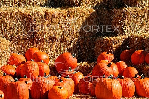 Industry / agriculture royalty free stock image #219613502