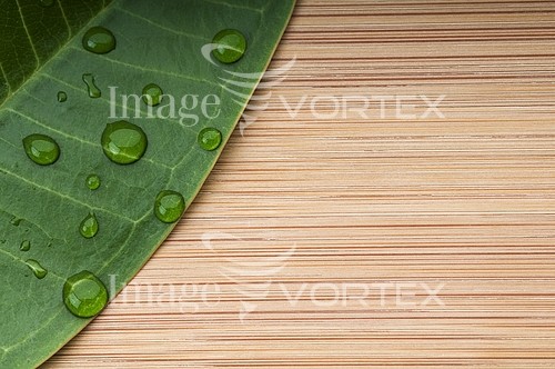 Background / texture royalty free stock image #220186757