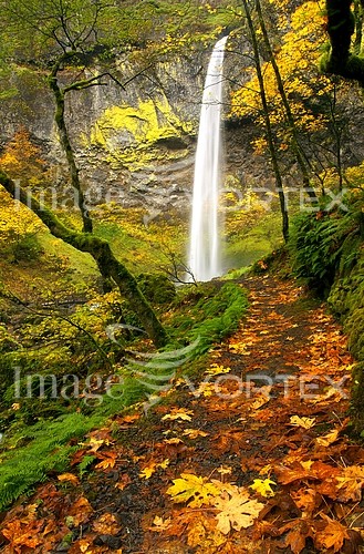 Nature / landscape royalty free stock image #223175662