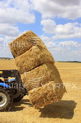 Industry / agriculture royalty free stock image #224124519