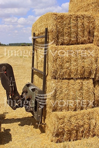 Industry / agriculture royalty free stock image #224162937