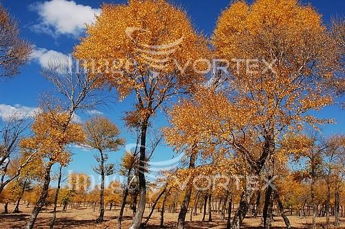 Nature / landscape royalty free stock image #224439163