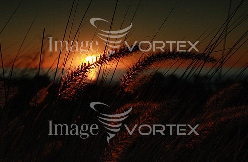 Sunset / sunrise royalty free stock image #226311677