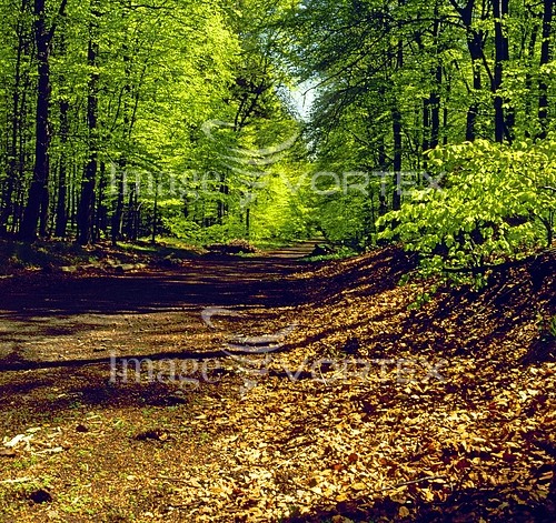 Nature / landscape royalty free stock image #229269814