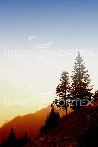 Nature / landscape royalty free stock image #230685123