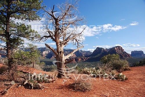 Nature / landscape royalty free stock image #231796395