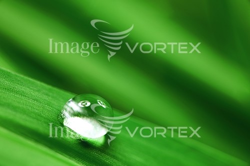 Background / texture royalty free stock image #233486742