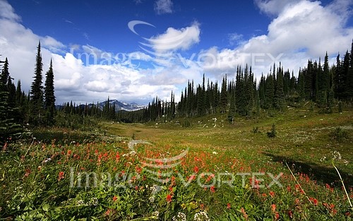 Nature / landscape royalty free stock image #234258327
