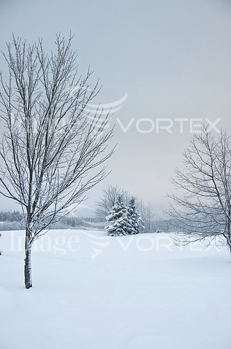 Nature / landscape royalty free stock image #234822625