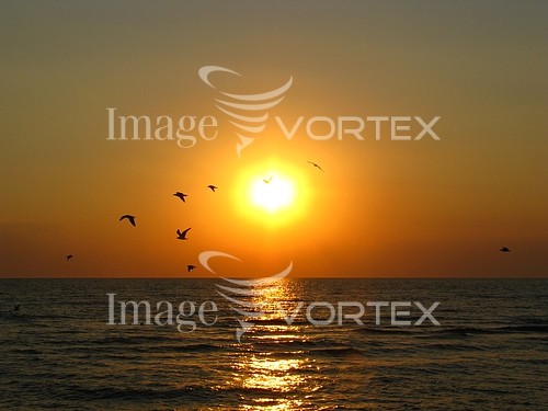 Sunset / sunrise royalty free stock image #237774208