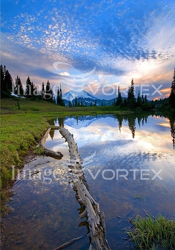 Nature / landscape royalty free stock image #237882159