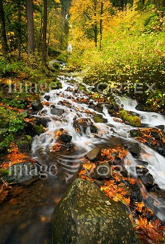 Nature / landscape royalty free stock image #239125416