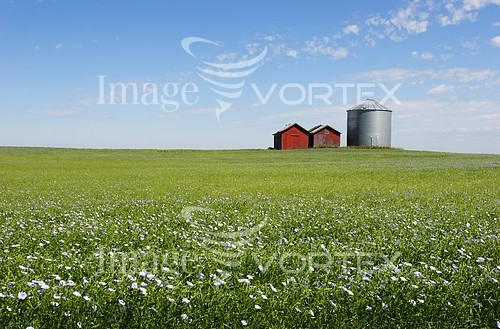Industry / agriculture royalty free stock image #243304912