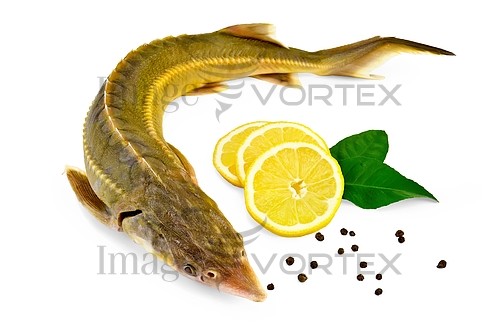 Food / drink royalty free stock image #244697012