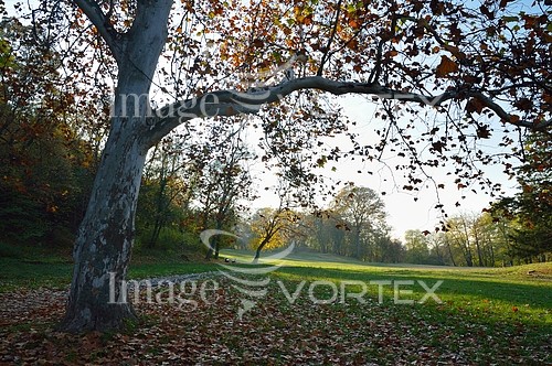 Park / outdoor royalty free stock image #247647028