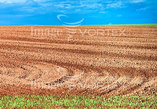 Industry / agriculture royalty free stock image #247265980