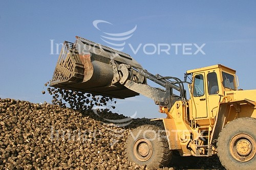 Industry / agriculture royalty free stock image #248290617