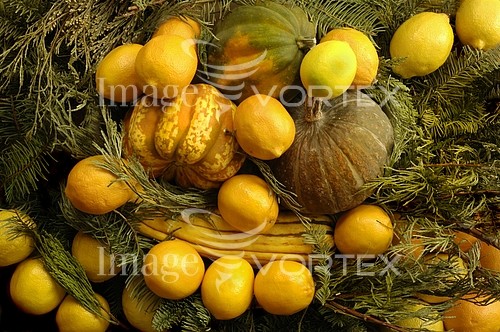 Food / drink royalty free stock image #248958114