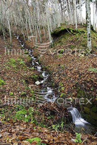 Nature / landscape royalty free stock image #250685442