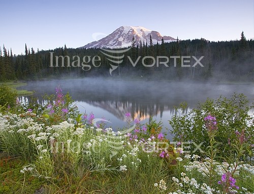 Nature / landscape royalty free stock image #251469410