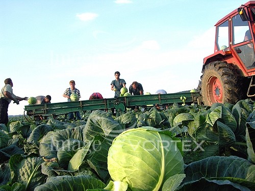 Industry / agriculture royalty free stock image #251898214