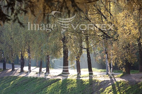 Park / outdoor royalty free stock image #251193418