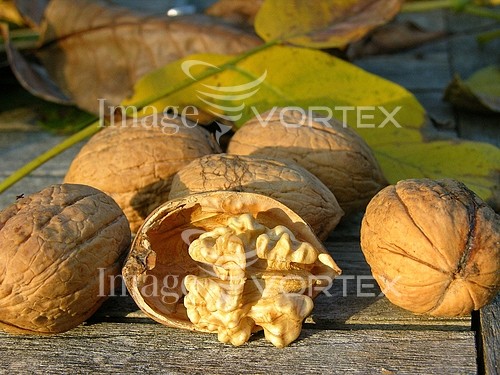 Food / drink royalty free stock image #252096201
