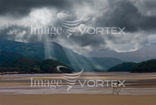 Nature / landscape royalty free stock image #253726761