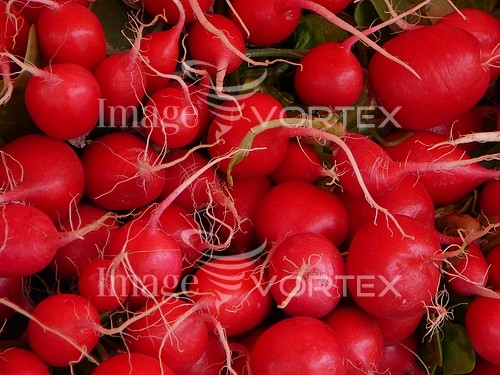 Food / drink royalty free stock image #253230167