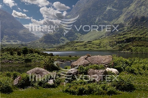 Nature / landscape royalty free stock image #253599113